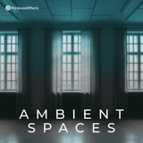 Ambient Spaces